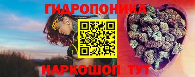 дмт Абакан