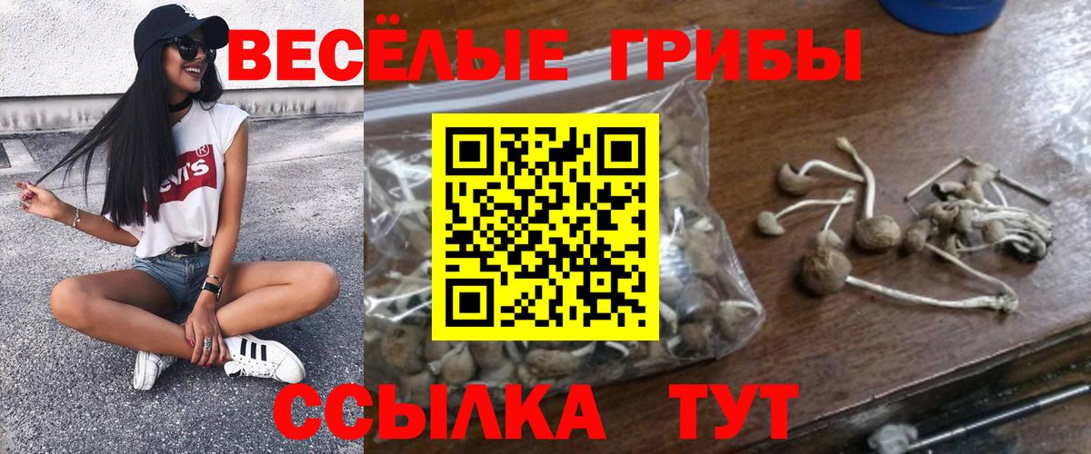 Псилоцибиновые грибы Magic Shrooms Абакан